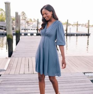 Gal Meets Glam Andrea Dress